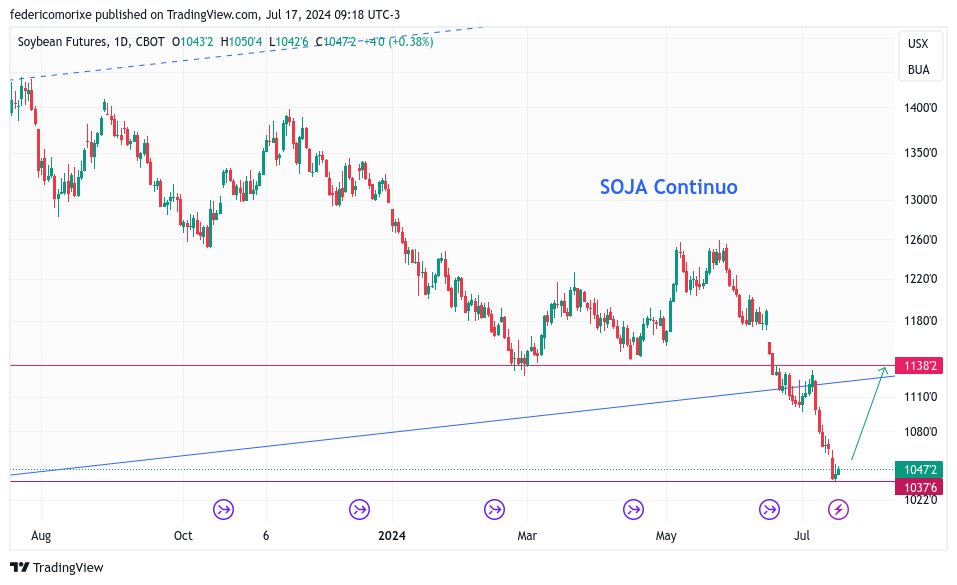 federicomorixe's tweet image. #soja #soya continuo.

¡Protege tus ganancias y asegura tu tranquilidad con opciones de soja!

En el mundo agrícola, la volatilidad de los precios es un desafío constante. La soja, uno de los cultivos más importantes a nivel mundial, no es ajena a estas fluctuaciones. ¿Te