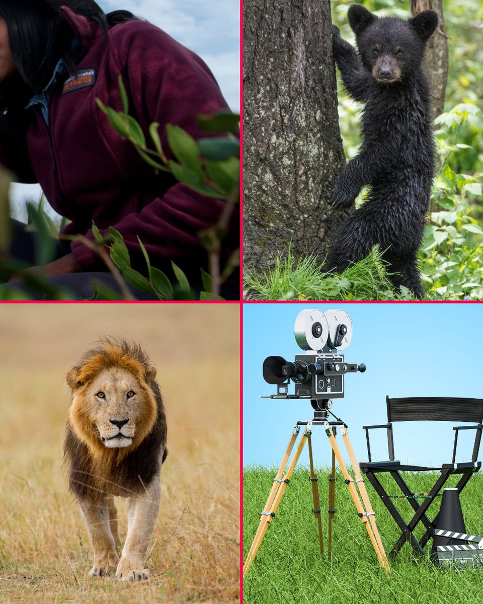 rewildology's tweet photo. Who are we meeting this week, Rewildologists?
Put your guesses in the comments 👇
Be sure to tune in tomorrow to listen to this stellar conversation!
#rewildology #podcast #naturepodcast #natureshow #sneakpeek #teaser https://t.co/yNUN8lezNS