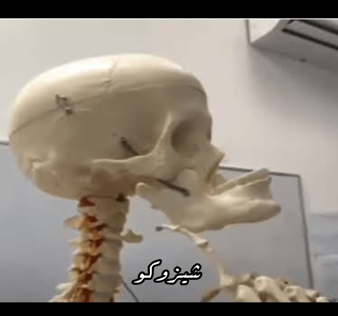 رعد مغدق 🏳️ tweet media