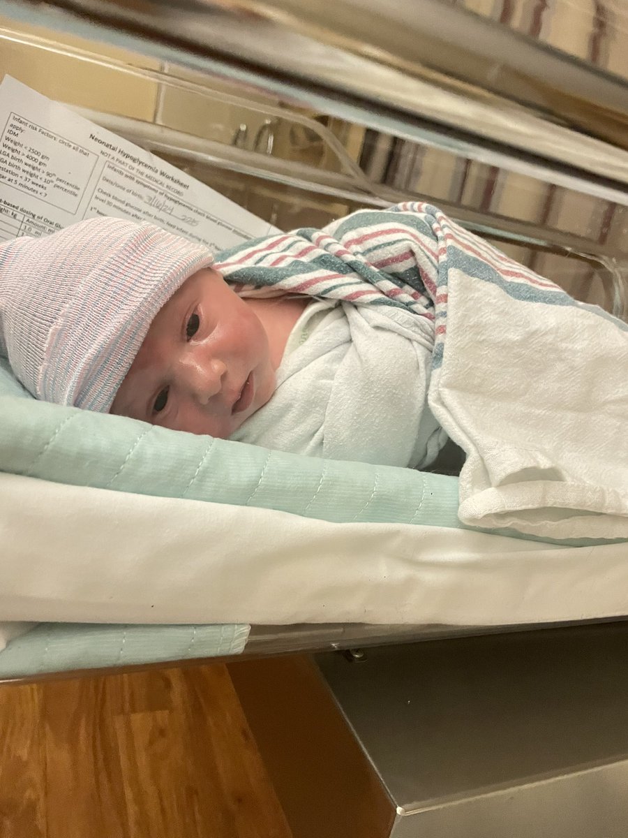 BridgetInAction's tweet photo. Happy birthday @VicInAction! I got you a present, but it showed up 2 hours before your birthday (that Amazon Prime be Priming, ya know) 
Everyone else, welcome the newest Menace in Action, Nico! https://t.co/iz4fjH9PME