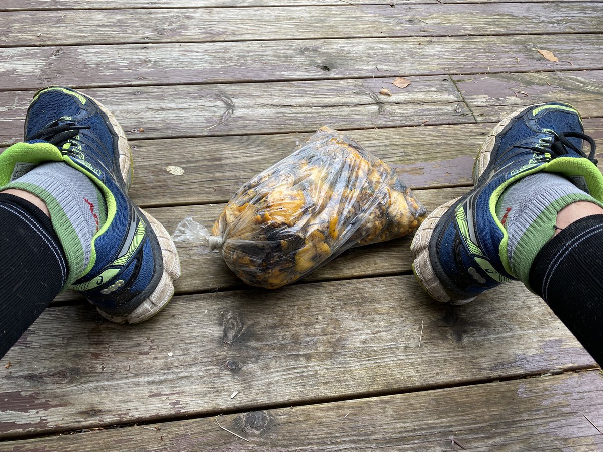 Löpintervaller 😊