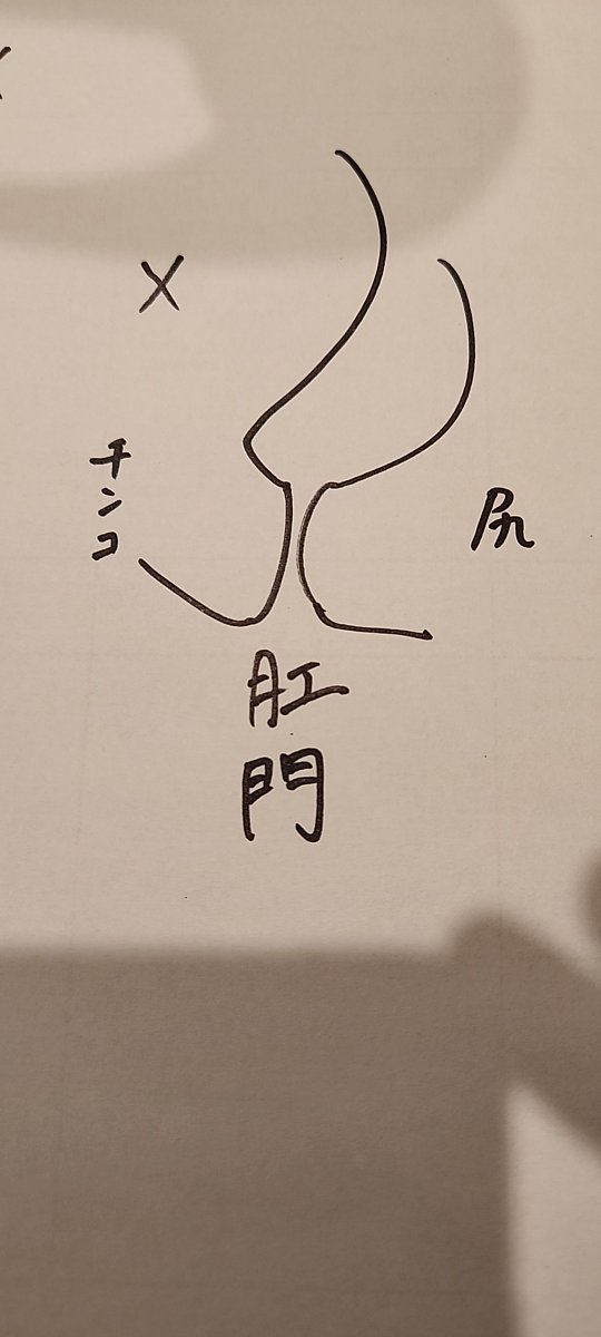 yashimoTV's tweet photo. 何度も啓発しているのに未だ処理できてないウケが一定数います。

最後です、もう言いません。

イメージ図○のように腸内に凹みが存在します。
初心者～初中級者はその凹みにウンコが残っていないか今一度確認してください。

これを知っているか否かで性生活に差がでます、いや便が出てきます。 https://t.co/WHkoZT1KC6