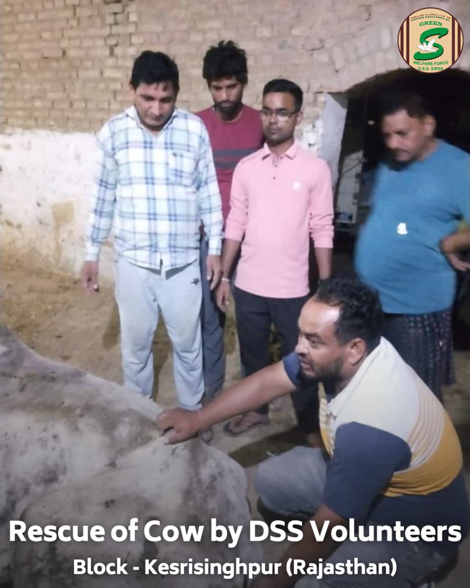 GreenSwelfares's tweet photo. Five puppies were rescued from a paddy field in Jaito, Punjab, where they had been lying in poor condition for the last 4 to 5 days. The devoted volunteers of Shah Satnam Ji Green ’S’ Welfare Force Wing provided the necessary care and medical treatment for the puppies. Meanwhile, volunteers from Kesrisinghpur, Rajasthan, rescued a cow and ensured it received proper medical attention. By following the humble teachings of Saint Dr. @Gurmeetramrahim Singh Ji Insan, these volunteers embody the path of humanity and kindness. #AnimalWelfare #DeraSachaSauda