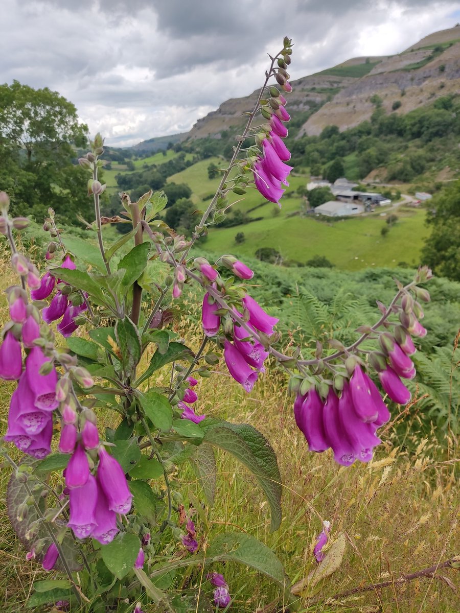 North Wales is so beautiful.❤️
