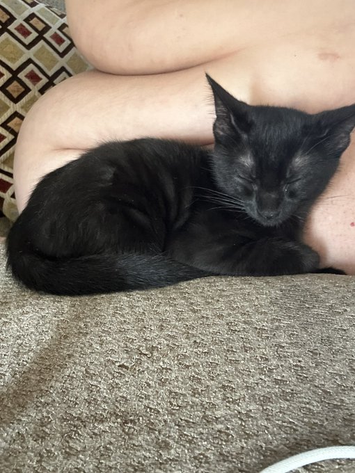 The loaf beginnings🥹 https://t.co/LHdsTnr7VE<a href="/tag/mvsales"class="tags"><span>#mvsales</span></a>