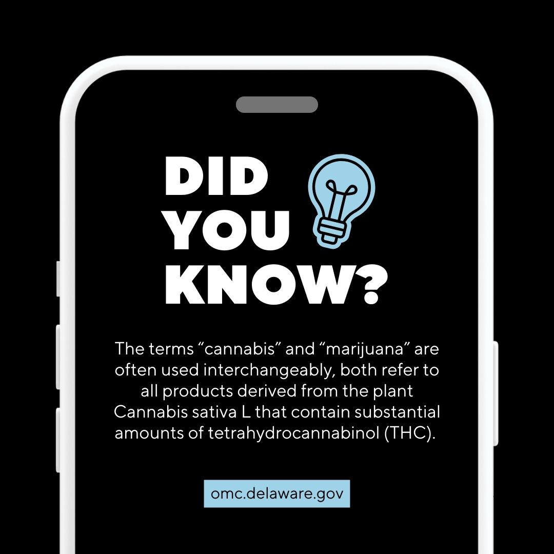 DEOMC1ST's tweet image. ❓Is marijuana the same thing as cannabis❓  🌱 The terms “cannabis” and “marijuana” are often used interchangeably, both refer to all products derived from the plant Cannabis sativa L that contain substantial amounts of tetrahydrocannabinol (THC).    #DOMC #Marijuana #Cannabis