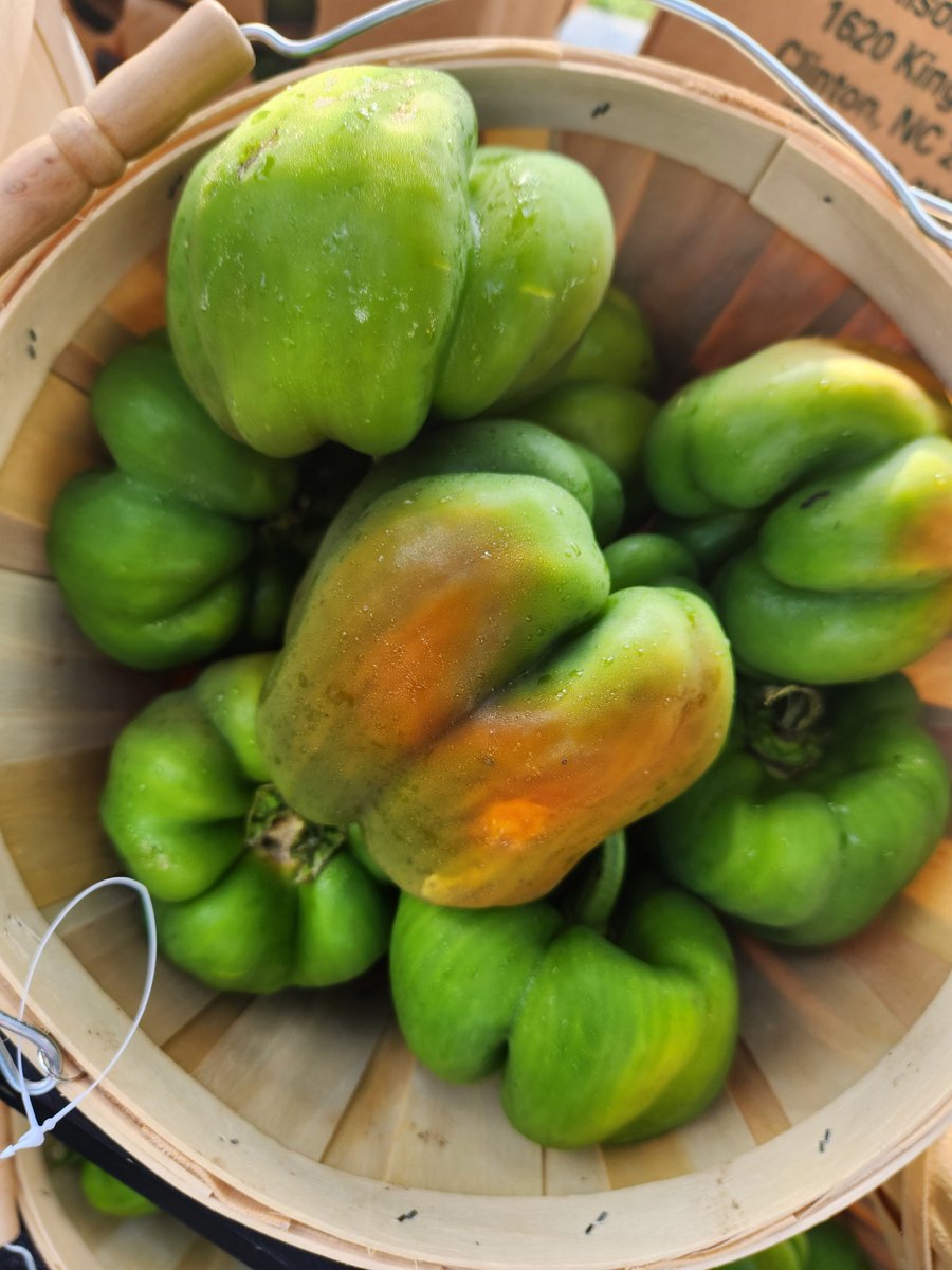 Stop by the back of <a href="/kennett_library/">Kennett Library</a> starting at 9:00am to 12:30pm today to get some free produce! Free Fresh food through the Believe and Achieve Foundation and <a href="/KCSDDistrict/">KCSD</a>! Fill your bags up! <a href="/KCSDBancroft/">Bancroft Elementary</a> <a href="/KCSDNewGarden/">KCSD New Garden</a> <a href="/KCSDMaryDLang/">Mary D Lang K Center</a> <a href="/KCSDKennettMS/">KennettMiddleSchool</a> <a href="/KCSDKennettHS/">KENNETT_HS</a>