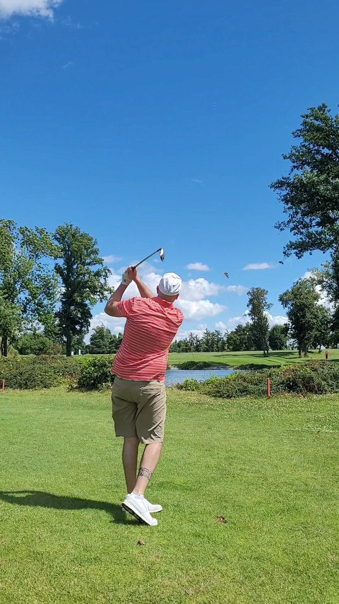 Stefman38 tweet media