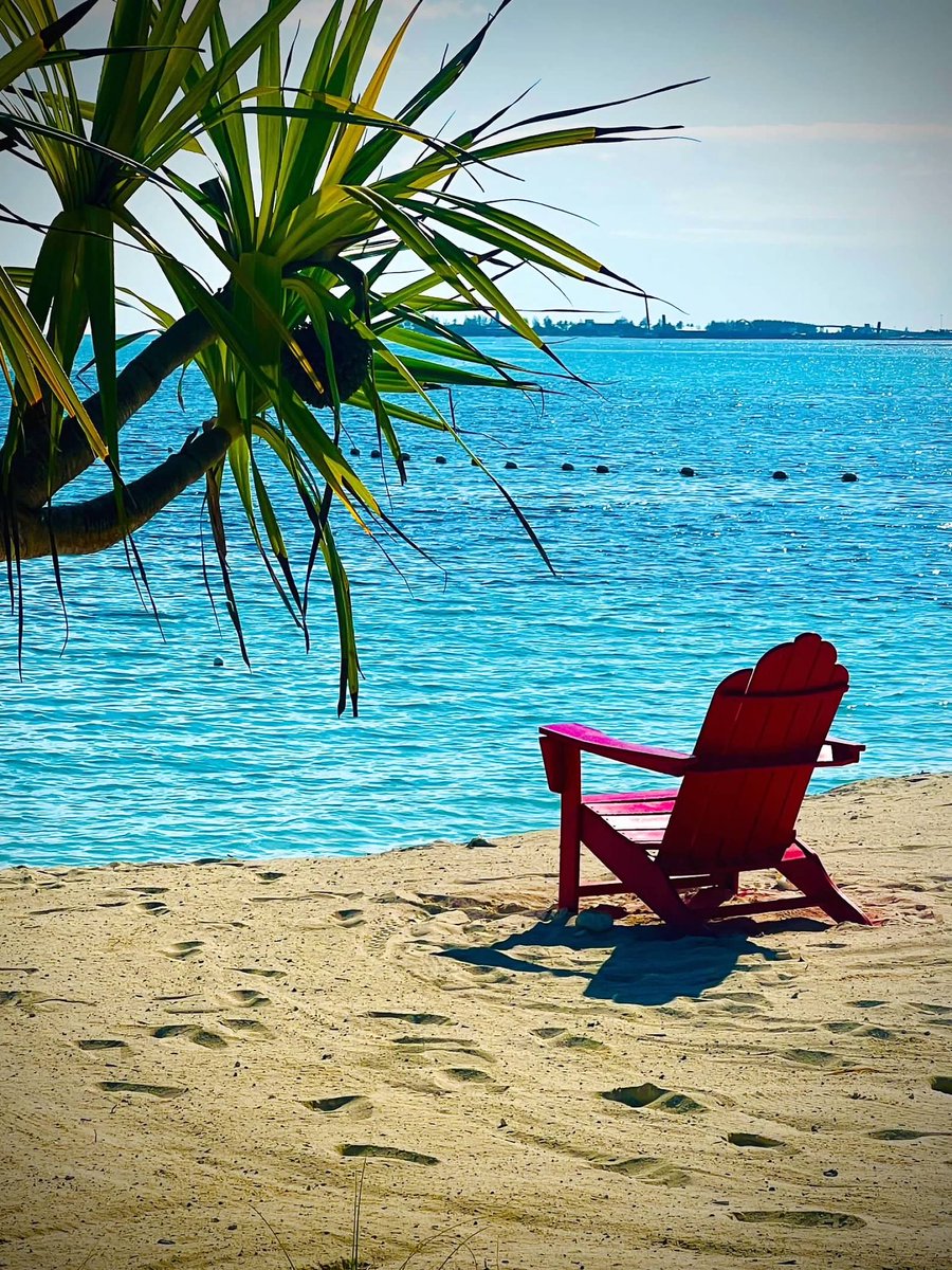 mmcclendon93's tweet photo. Started the summer in the Bahamas 🌴 relaxing and a great way to recharge @ReedyLions #LionsAtPlay #RHSRoar #bahamar https://t.co/YMLomADVYP