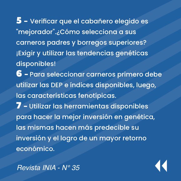 iledefranceuy's tweet photo. 🧬 ¿𝗜𝗻𝘃𝗲𝗿𝘁𝗶𝗿 𝗼 𝗴𝗮𝘀𝘁𝗮𝗿 𝗲𝗻 𝗴𝗲𝗻𝗲́𝘁𝗶𝗰𝗮?

Guía para la compra de carneros evaluados genéticamente. 

¡Acérquese, conozca y disfrute Ile de France! https://t.co/wOWw3ZFpUL