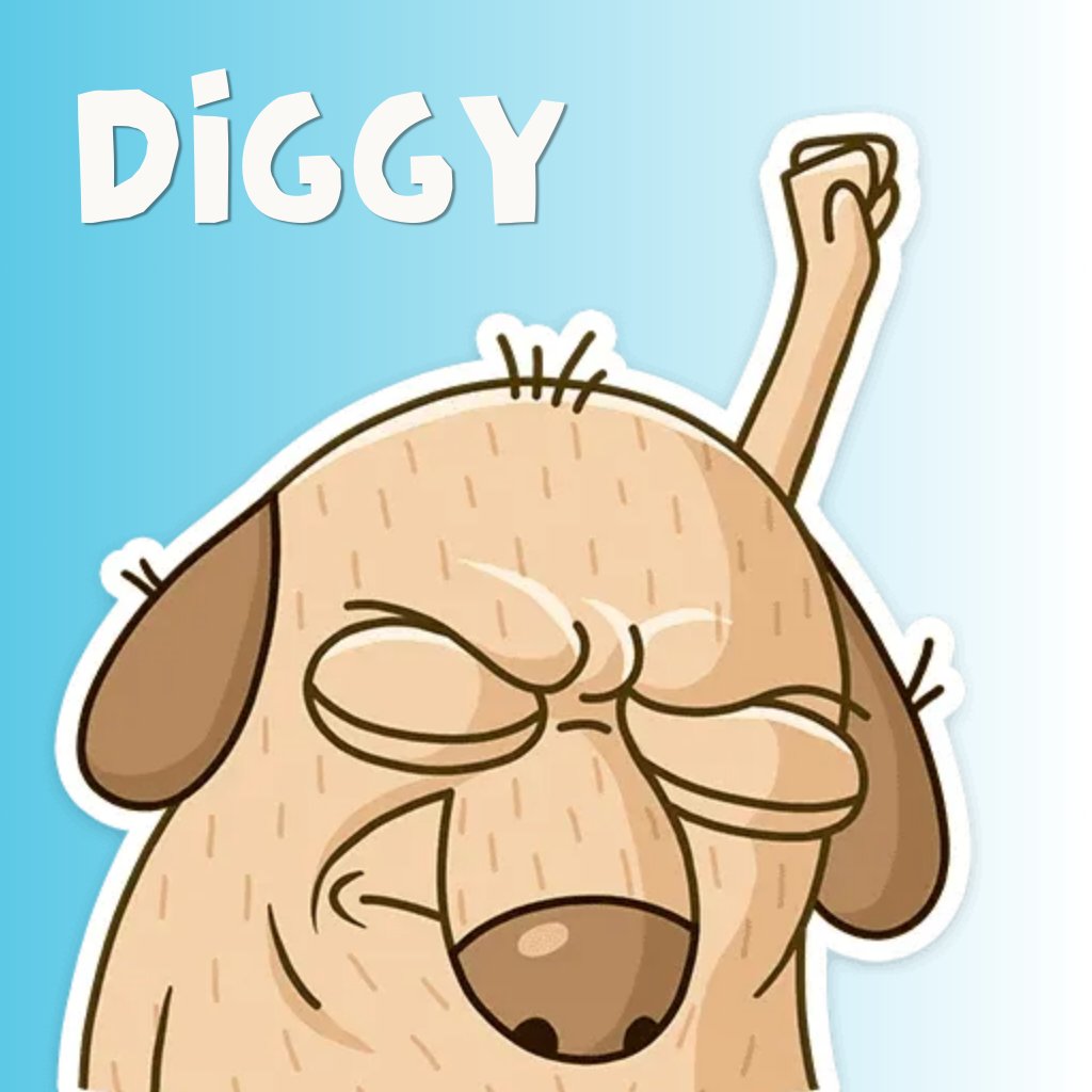 $DIGGY tweet media