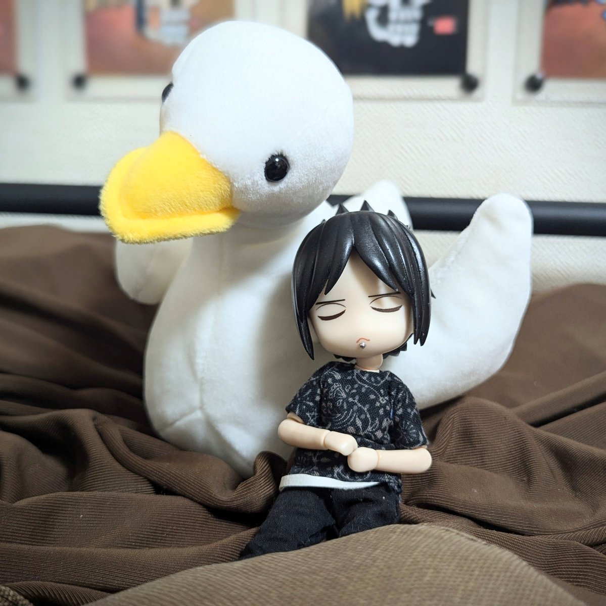 100均で見かけたデカいアヒルのぬいぐるみを買ってしまった…。やわらかくてふわふわでとても（どーるが）寝心地良さそうだったので…。