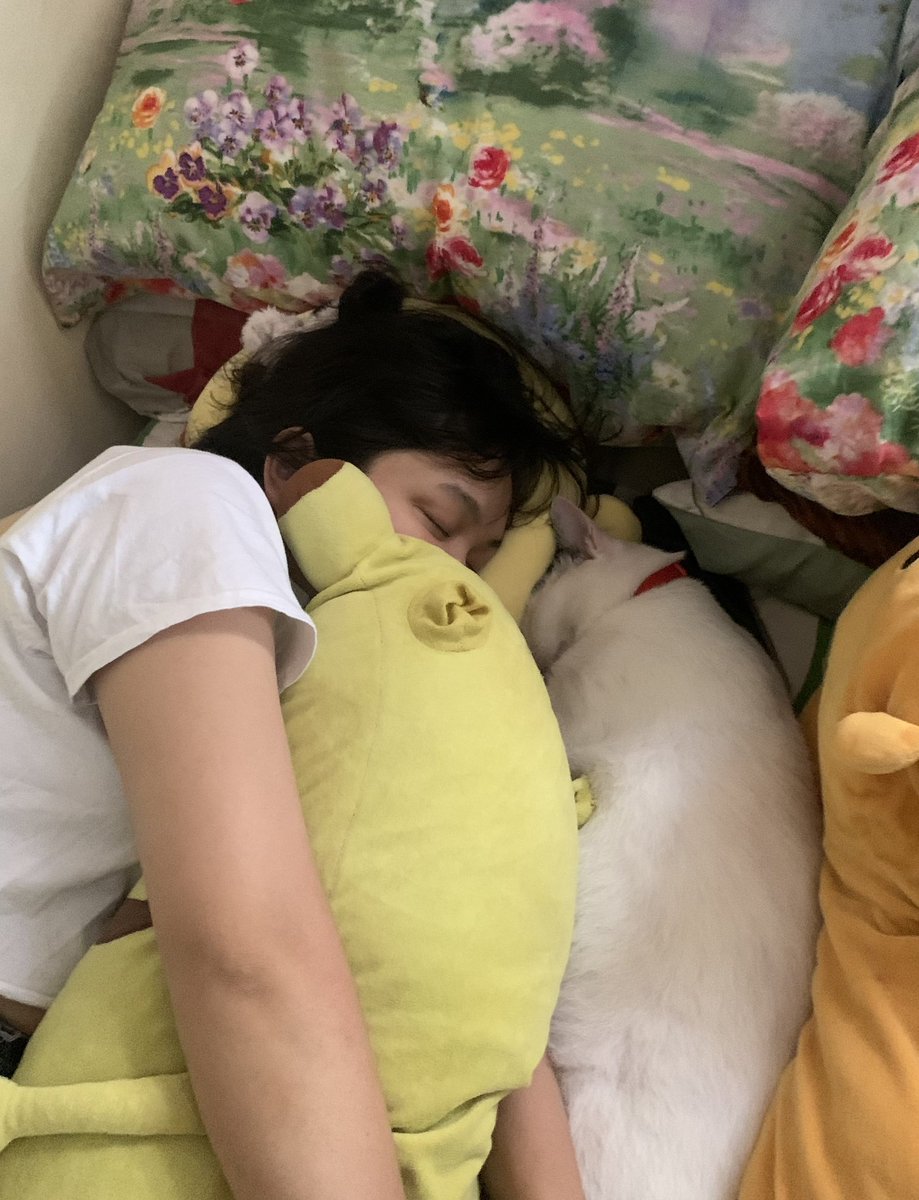 chichilittle's tweet photo. it’s my cat’s 6th birthday! 6 years since we found him in the trash, in the rain 🥹 luv u totton 🍙 https://t.co/4nzpjHKBeu
