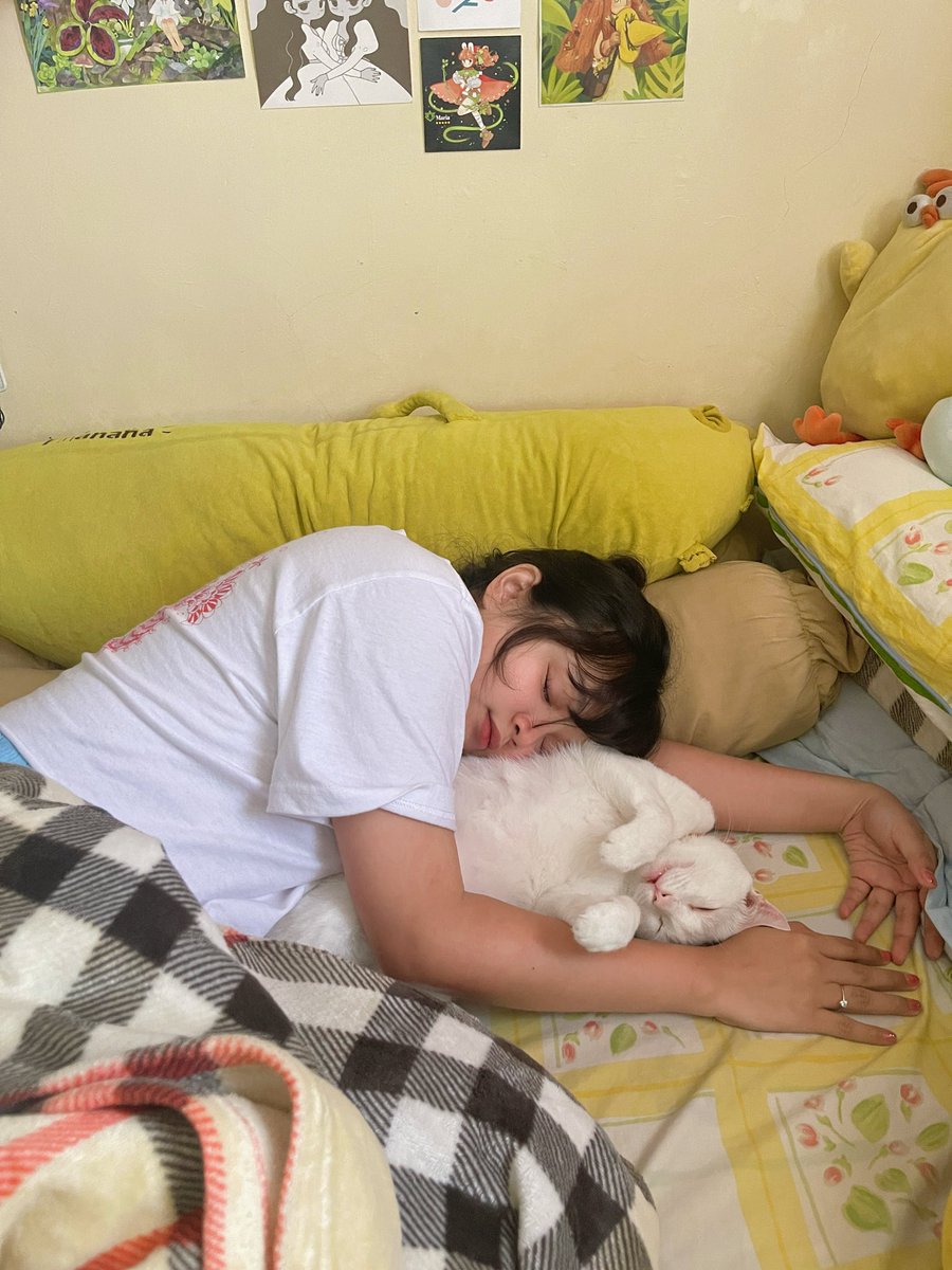 chichilittle's tweet photo. it’s my cat’s 6th birthday! 6 years since we found him in the trash, in the rain 🥹 luv u totton 🍙 https://t.co/4nzpjHKBeu