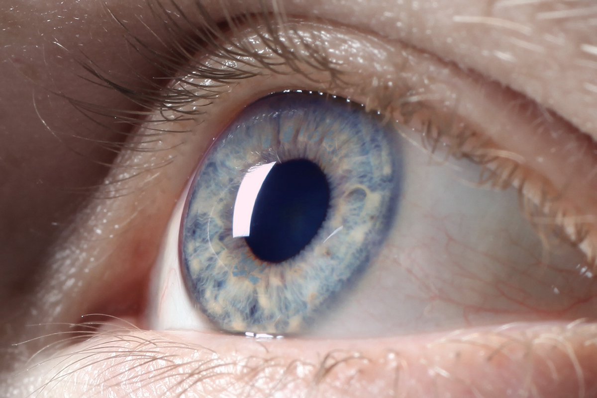 Macular Society (@macularsociety) on Twitter photo A patient advisory group is needed for <a href="/ArielYHOng/">Ariel Ong</a>'s study, funded by <a href="/NIHRresearch/">National Institute for Health and Care Research</a> and <a href="/EyeCharity/">Moorfields Eye Charity</a>, looking at the effectiveness, safety and fairness of AI eye image testing: tinyurl.com/2en9xevd
Register before July 30 by completing the form below.
tinyurl.com/465tefr3 A patient advisory group is needed for <a href="/ArielYHOng/">Ariel Ong</a>'s study, funded by <a href="/NIHRresearch/">National Institute for Health and Care Research</a> and <a href="/EyeCharity/">Moorfields Eye Charity</a>, looking at the effectiveness, safety and fairness of AI eye image testing: tinyurl.com/2en9xevd
Register before July 30 by completing the form below.
tinyurl.com/465tefr3