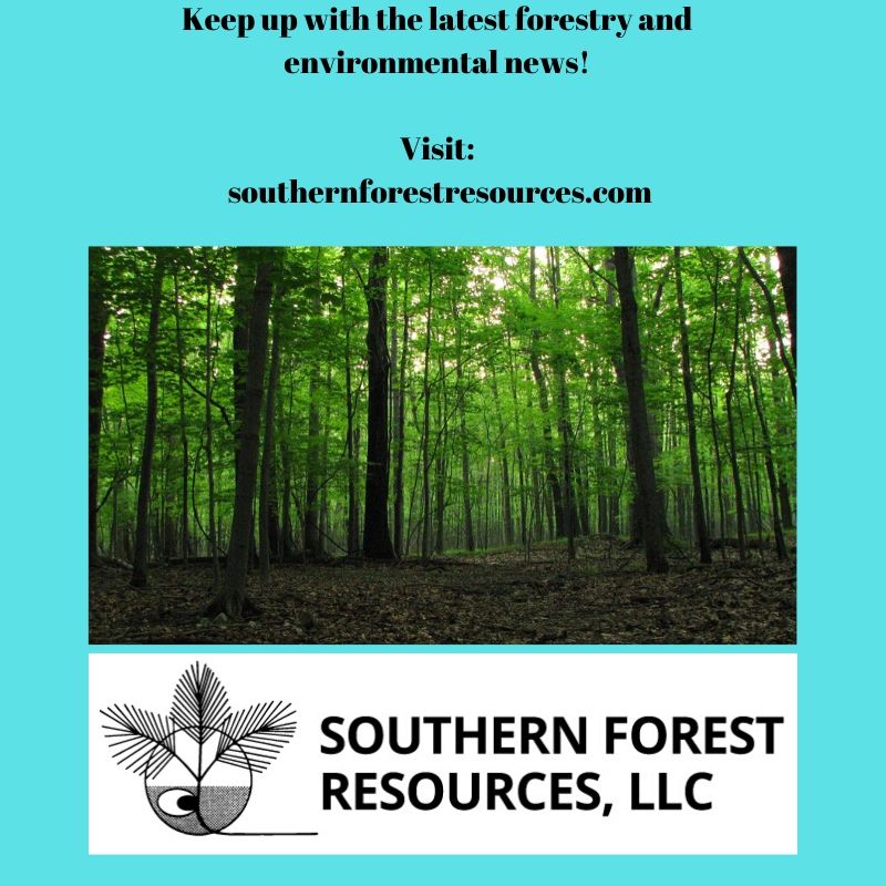 thebeez61's tweet photo. Check out our latest highlighted timber sale bid prospectus and while you are there we also have forestry, nature, and environmental news articles posted. Go to https://t.co/HM9xvX1pSr and click on the news &amp; events tab. #timbersale #nature #forestry #timber #trees #environment https://t.co/TqlDOQqWSJ