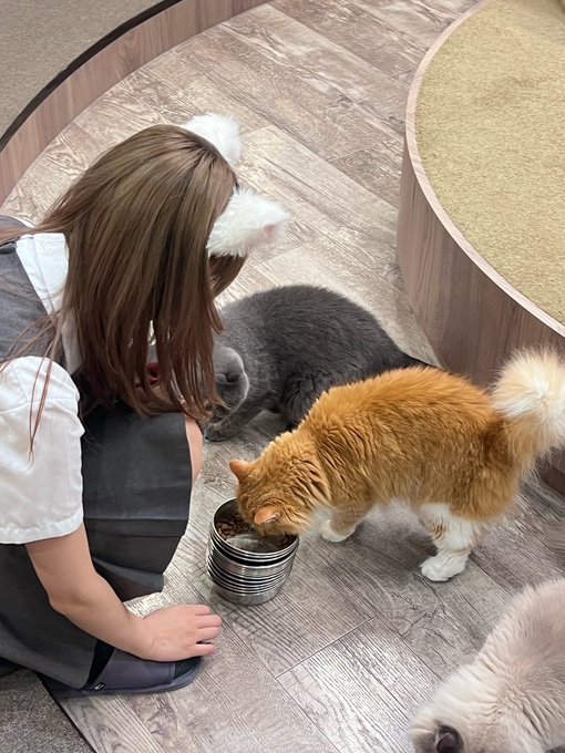 Twitterのコスプレ画像41