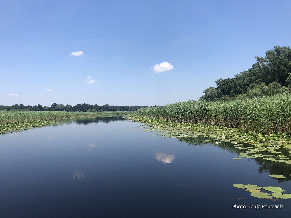 IUCN_ECARO's tweet photo. 🌿📢 We invite proposals for the Final Project Evaluation Consultancy for our #ADAPT project: #NaturebasedSolutions for Resilient Societies in the #WesternBalkans.
🔗Learn more and apply: https://t.co/EzGU8Z8eIH
📅Deadline: 25 July 2024
#requestforproposal #evaluation https://t.co/CY5qP9rSg2