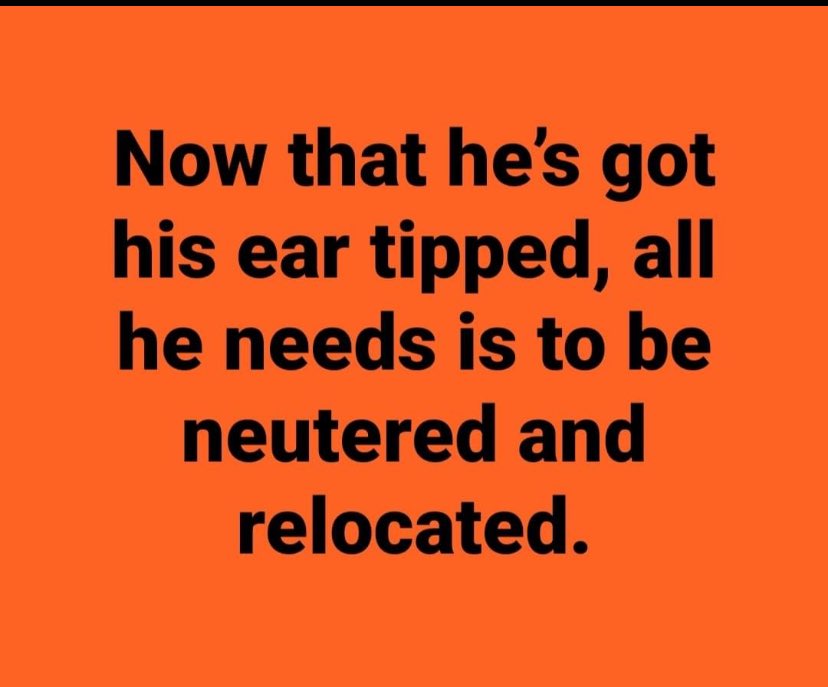 GSsNxzTacAAuHX9?format=jpg&name=900x900