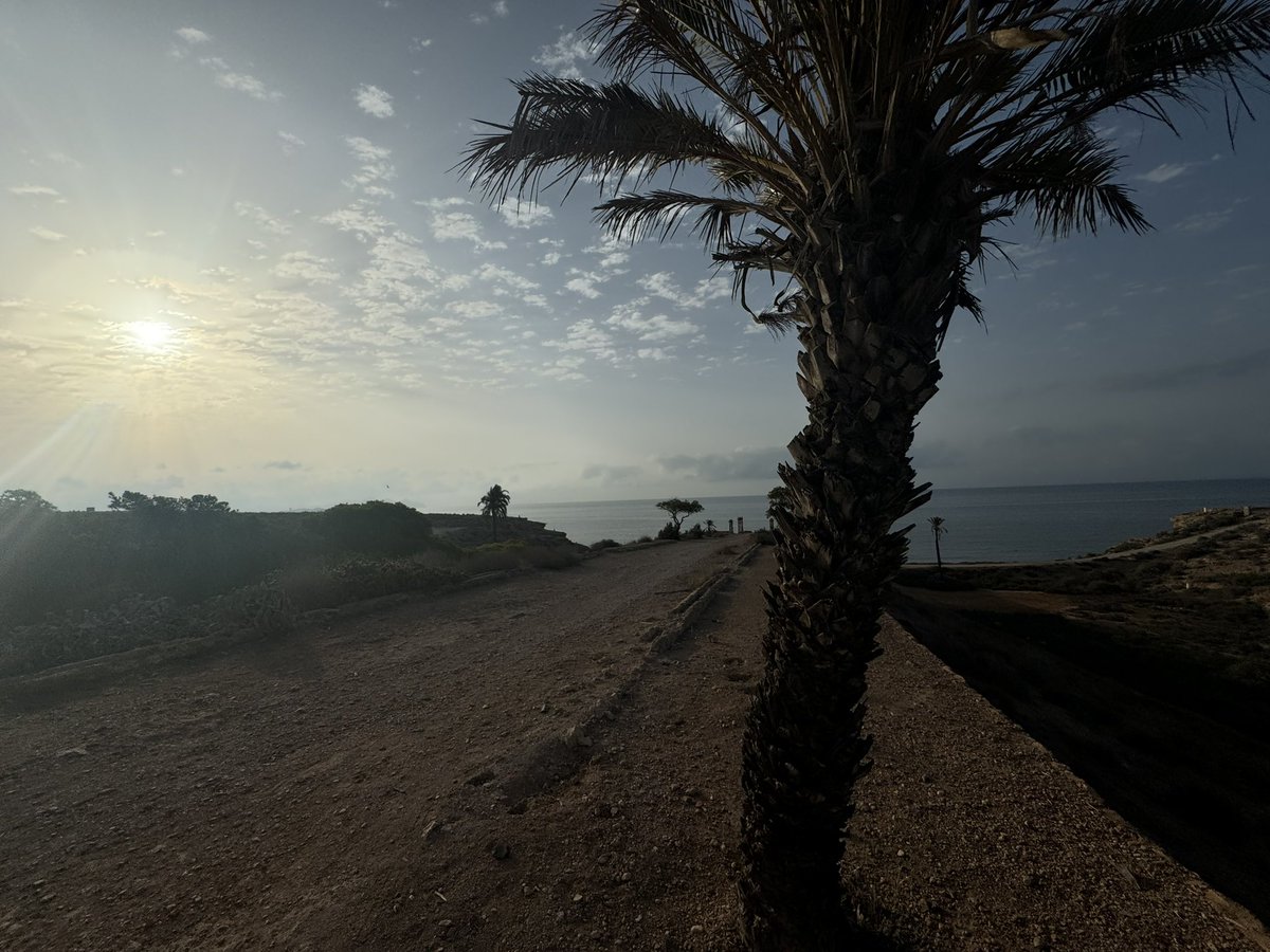 aLex_17_98's tweet photo. 🏃🏿☀️🏝️🧘🏻‍♂️ https://t.co/rzEtf2ZkKc