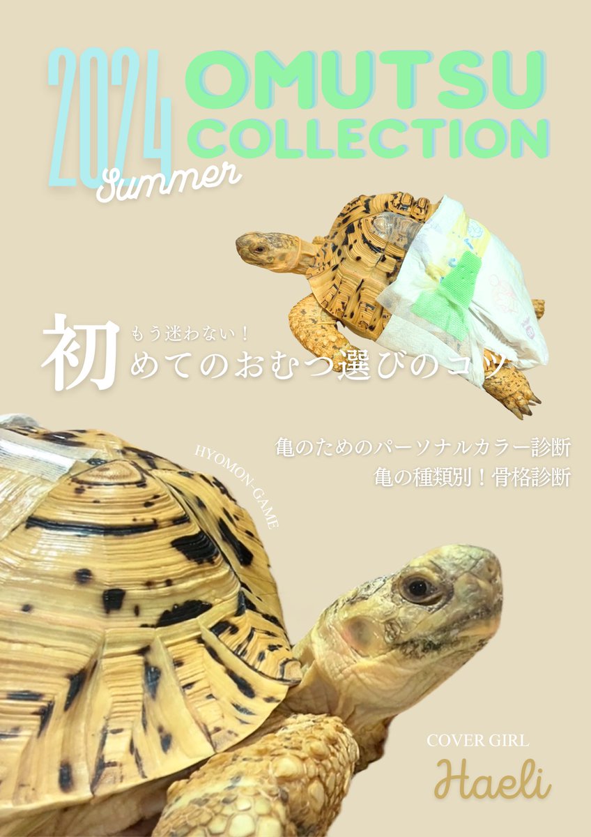 カメのファッション雑誌があったなら…😌💭

#ヒョウモンガメ