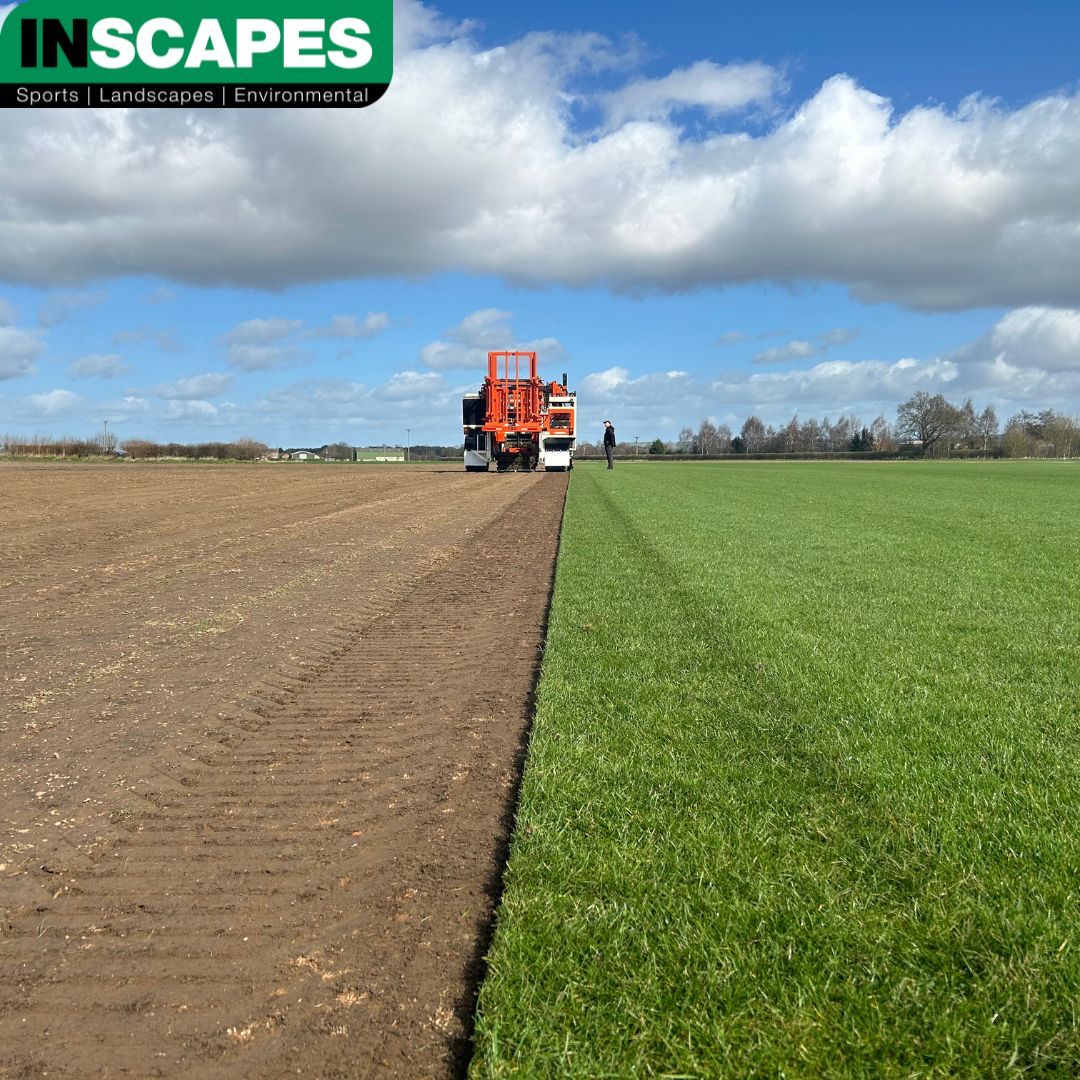 Inscapes tweet media