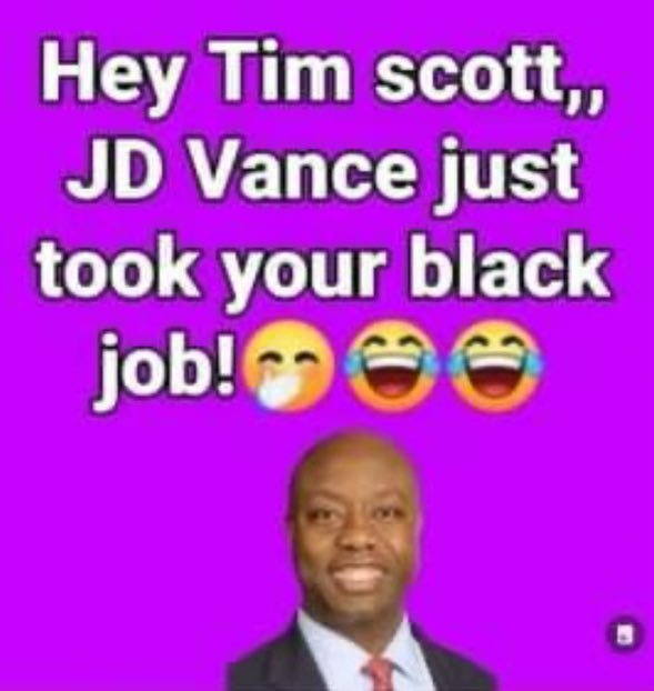 😂😂😂 #TimScott #JDVance #BlackJob