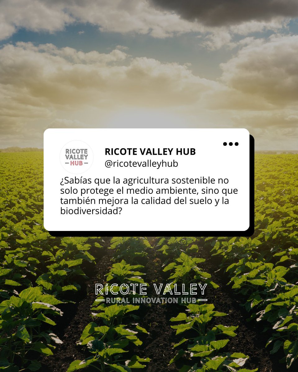 🌱✨ En #RicoteValleyHub, creemos que la agricultura sostenible es el camino hacia un futuro mejor. No solo protege nuestro planeta, sino que también mejora la calidad del suelo y promueve la biodiversidad.