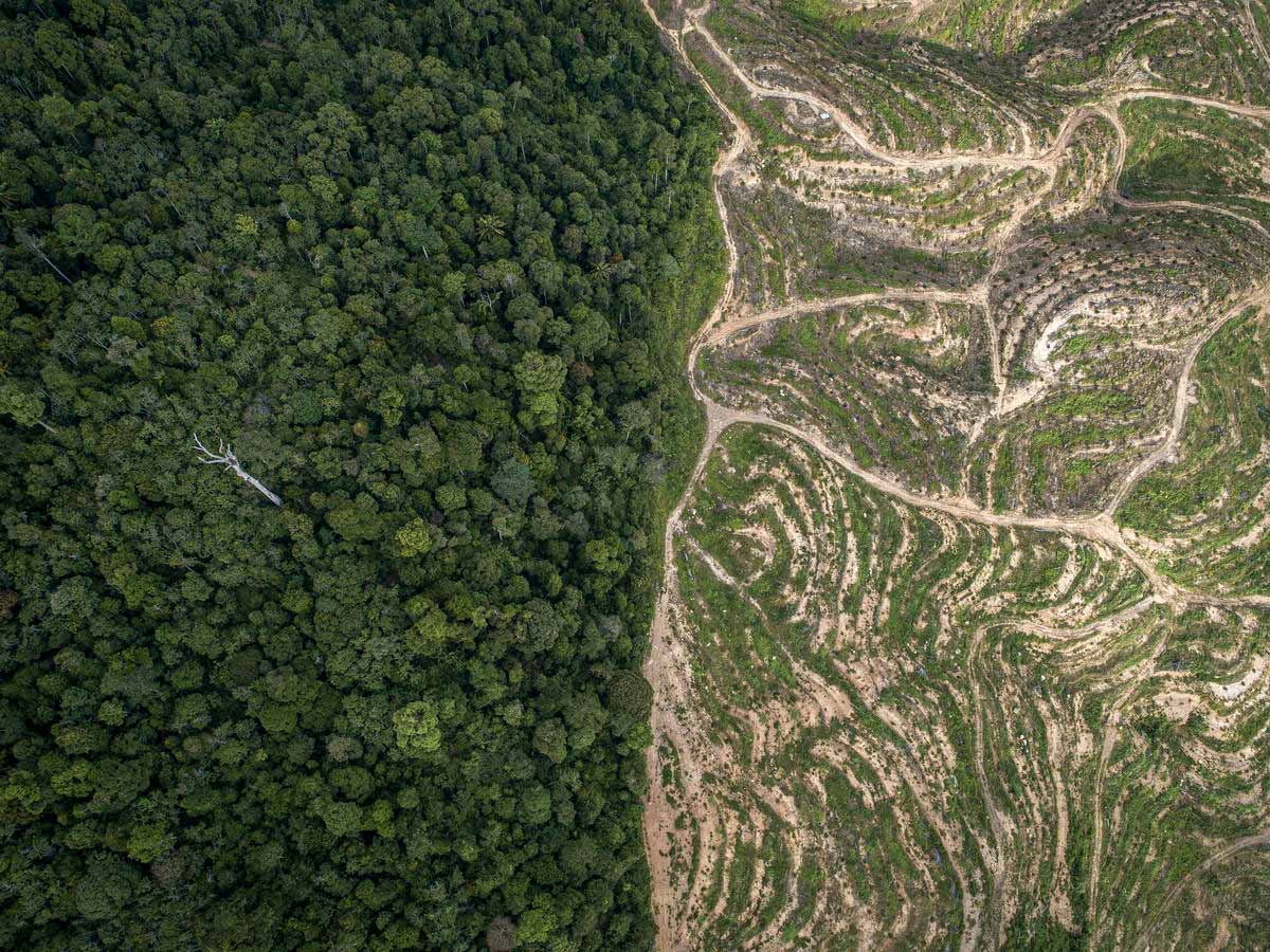 WWFespana's tweet photo. 🍃 Nueva guía WWF - #GFRI 

→ Bancos centrales
→ Supervisores
→ Reguladores

Deben contribuir a detener la deforestación y la conversión, motores del #CambioClimático y la pérdida de naturaleza 

#DCFFinance
https://t.co/D0uuSiY6nC https://t.co/zApFFdI3Fe