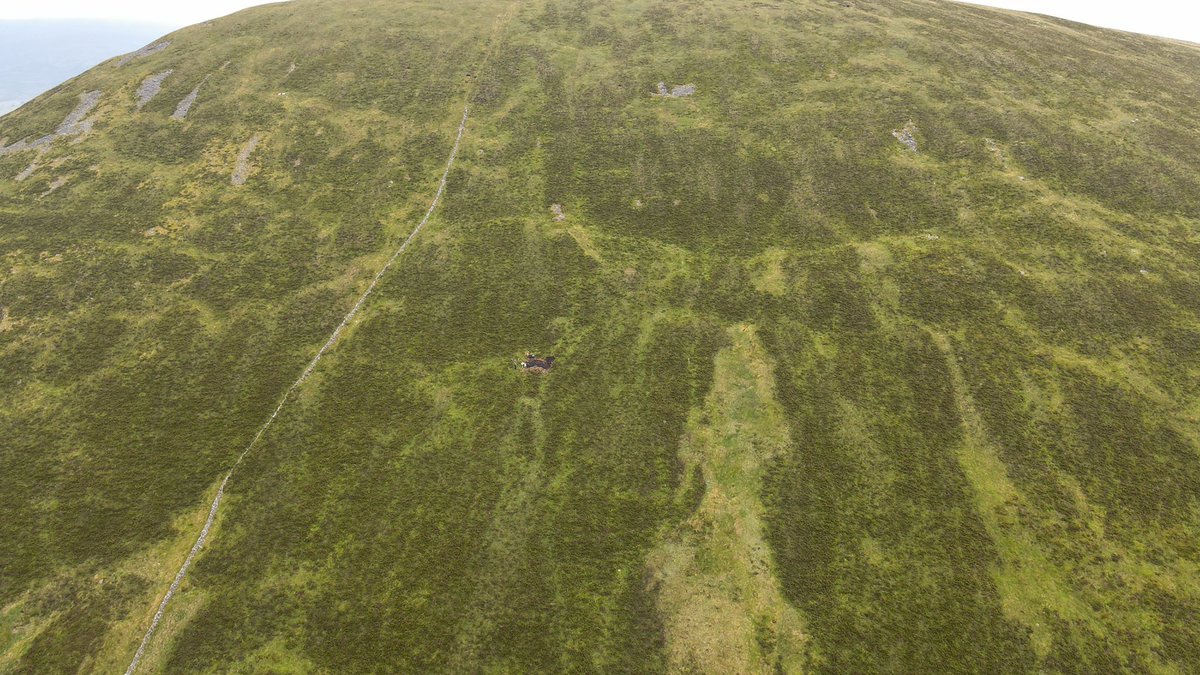 JODarchaeology's tweet photo. We’ve just begun our @RIAdawson funded excavations at Keadeen cursus, the first excavation of this monument type in Ireland! Amazing views of the Baltinglass landscape from up here!! https://t.co/RZZ53vrOau