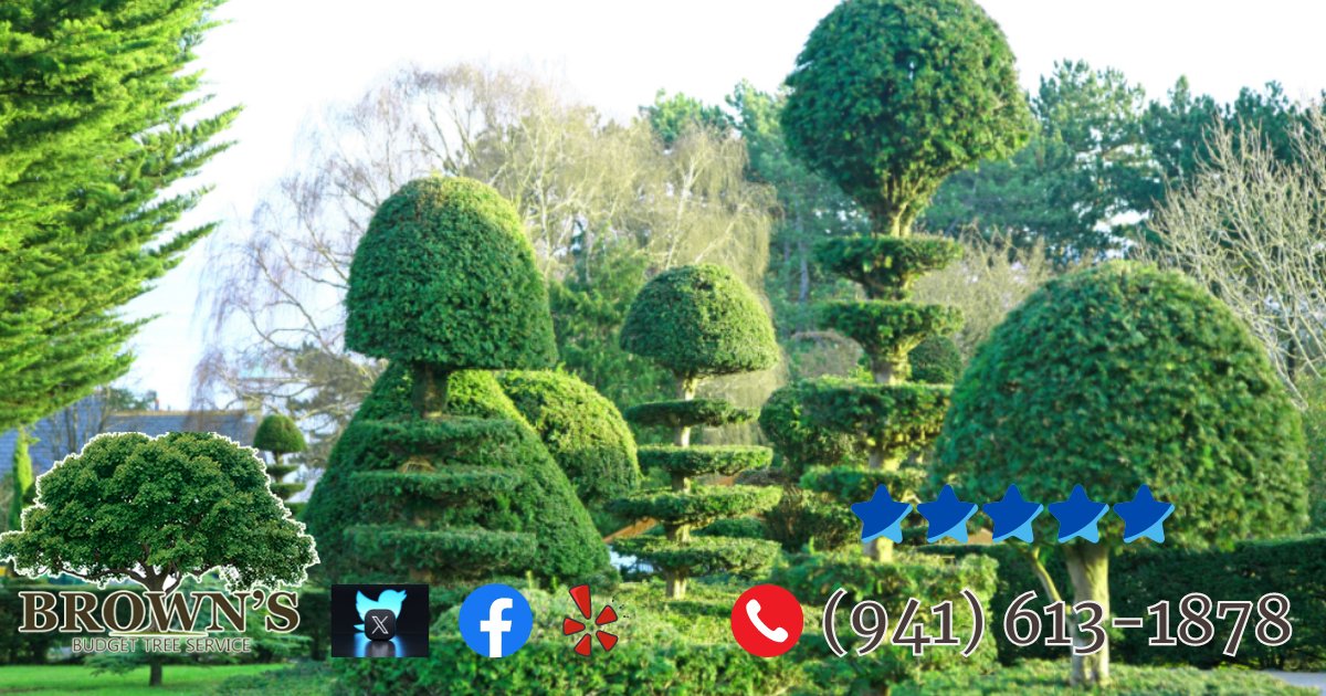 BrownBudget's tweet photo. Decorative Pruning is trimming brush and branches of various types of trees for aesthetic reasons. Just let us know what you want and we will put our knowledge of pruning to work for you.  Please call Jean at (941) 613-1878 for an estimate.
https://t.co/vno2xT7rhg https://t.co/yAQpuERPoY