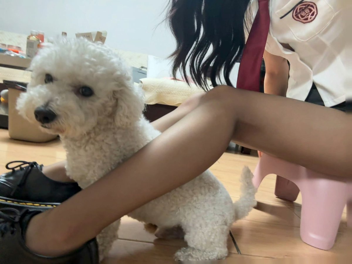 maojie991's tweet photo. 我是美女 喜欢狗
#atm奴 #绿帽 #舔狗 #贡畜 #贡奴 #提款机 #金钱女王 #调教 #吸金 #压榨  #舔鞋 #女s #男m #贱狗 https://t.co/DcAb3d6ChL