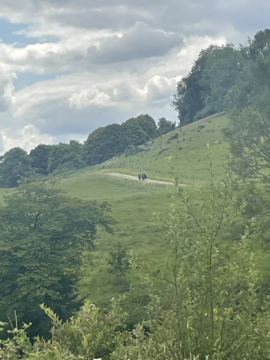 Bolder Academy - Sport and community use tweet media