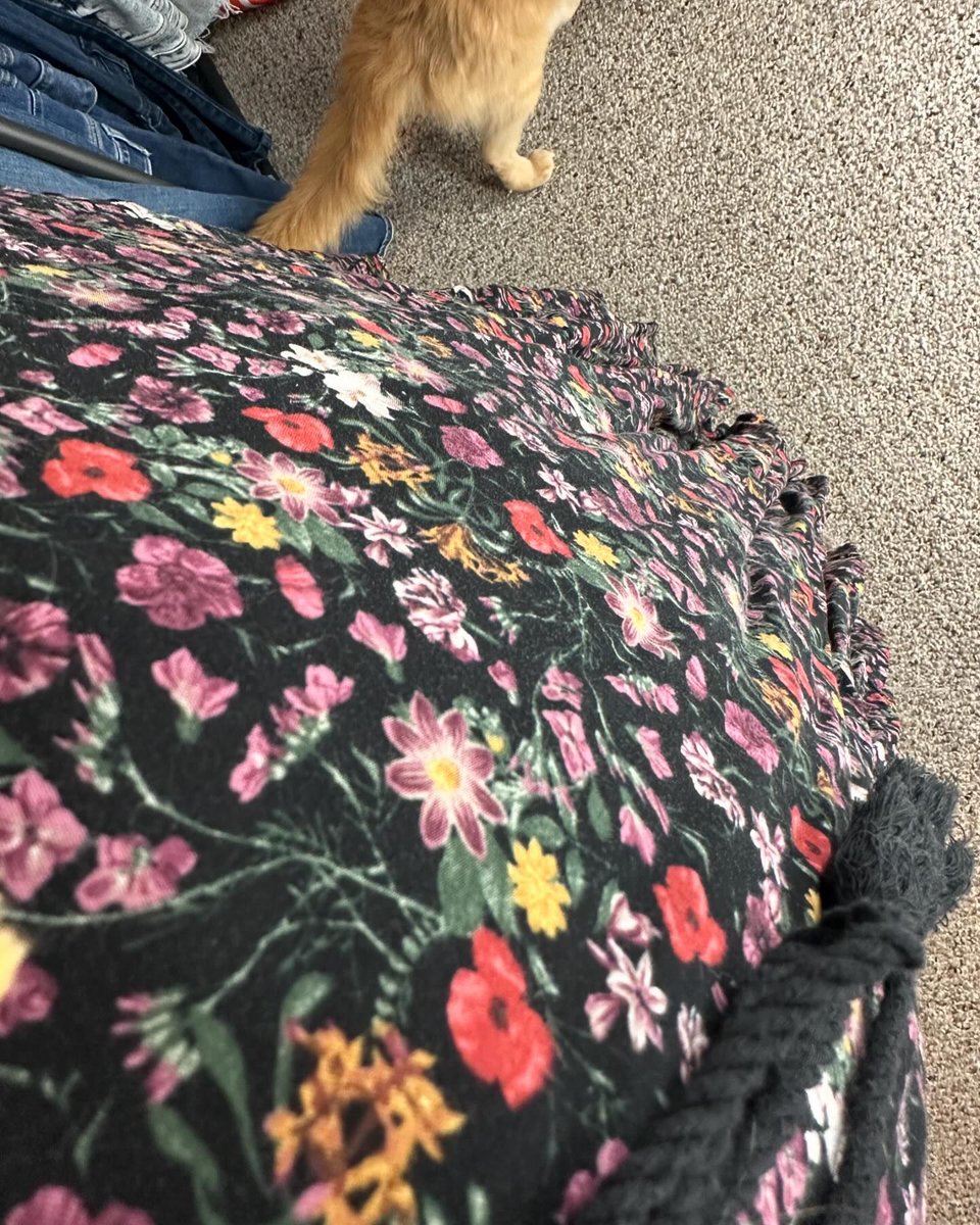 MuhammedOl1055's tweet image. Feeling much more human today, thanks for all the well wishes 🩵 #ootd #psootd