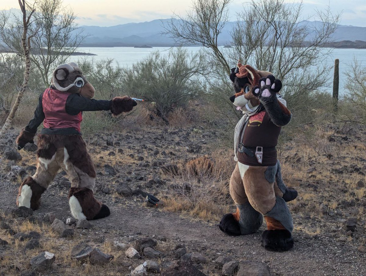 CactusKingsSt's tweet photo. Introducing
Tennessee the Ram!
Commission for @Foxikel

An older suit by me came back for a little refresh and some new legs!! 

The head features
- Brand new eye markings and eye brows
- New eye lining
- Two new sets of velcro eyelids
- Various repairs as found https://t.co/AsniSYhR8B