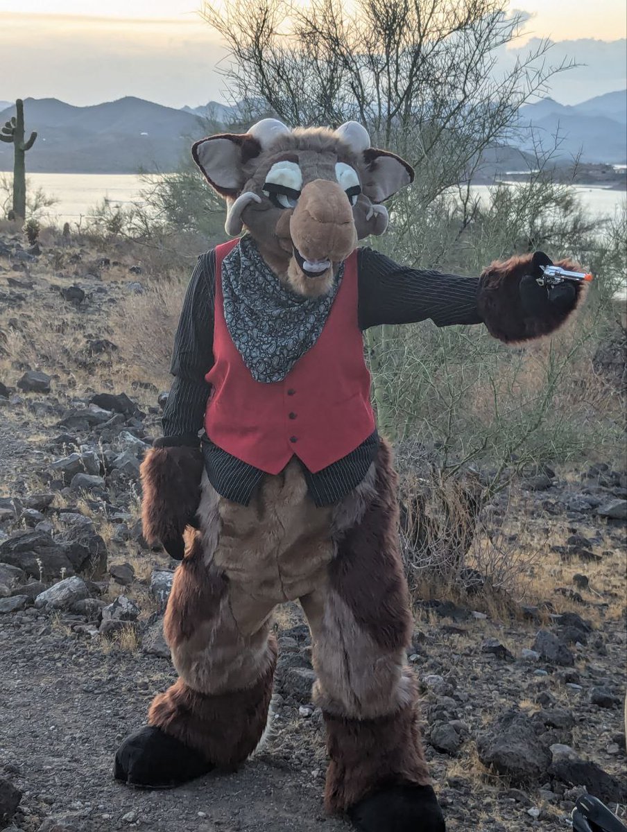 CactusKingsSt's tweet photo. Introducing
Tennessee the Ram!
Commission for @Foxikel

An older suit by me came back for a little refresh and some new legs!! 

The head features
- Brand new eye markings and eye brows
- New eye lining
- Two new sets of velcro eyelids
- Various repairs as found https://t.co/AsniSYhR8B