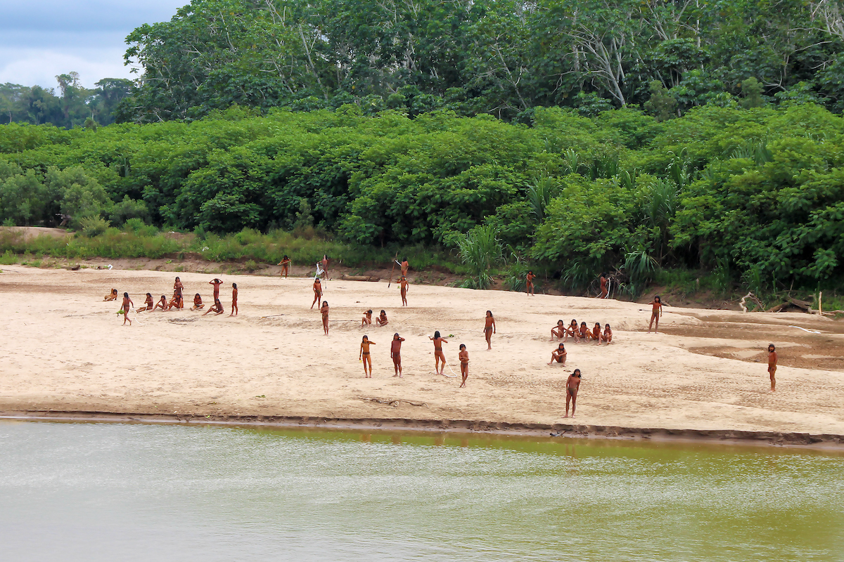 Yale Environment 360 (@yalee360) on Twitter photo Loggers in the Peruvian Amazon are closing in on the largest uncontacted tribe in the world, new photographs show.
Read more <a href="/YaleE360/">Yale Environment 360</a>: bit.ly/3WAVNqh Loggers in the Peruvian Amazon are closing in on the largest uncontacted tribe in the world, new photographs show.
Read more <a href="/YaleE360/">Yale Environment 360</a>: bit.ly/3WAVNqh