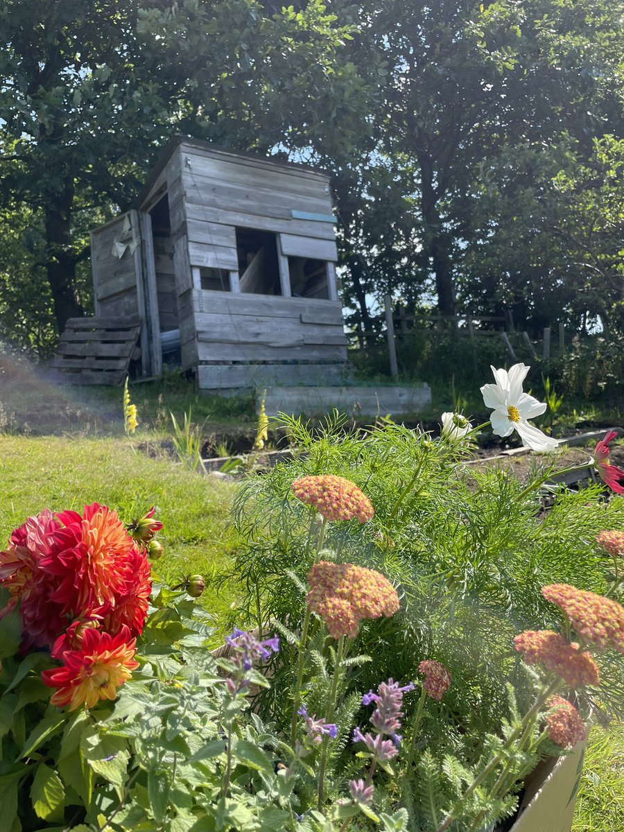 Sulk Rooms tweet media