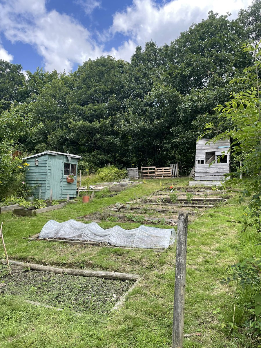 Sulk Rooms tweet media