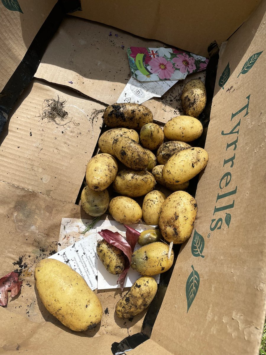 Sulk Rooms tweet media