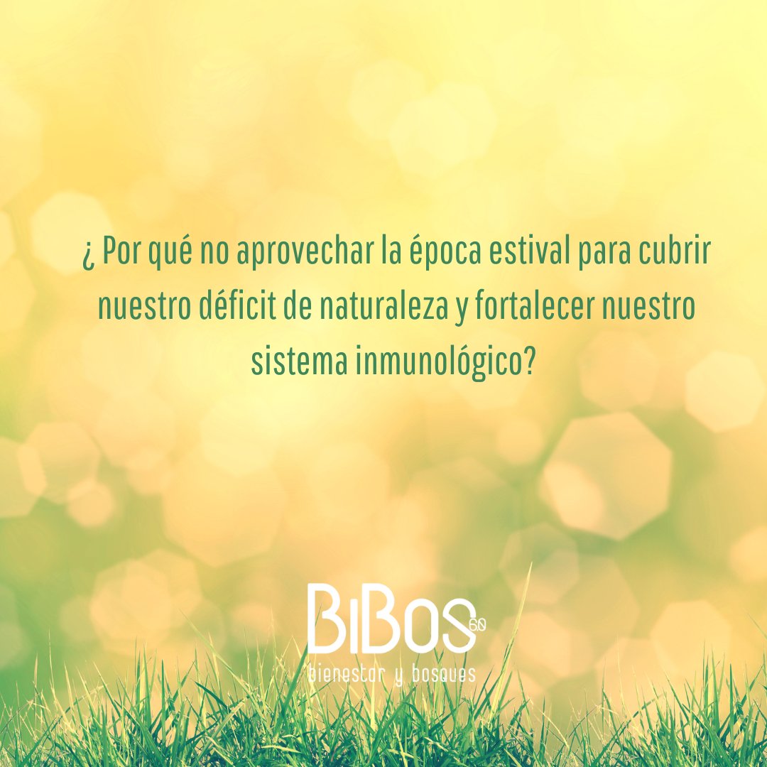 0Bibos6's tweet photo. ¿ Por qué no?
#elbienestaratravesdelosbosquesparatodaslaspersonas
@0Bibos6  @Foresna @GureSustraiak #Basartea
#ProgramaInnova @FundlaCaixa @FundCajaNavarra https://t.co/ECQ4mbDInK