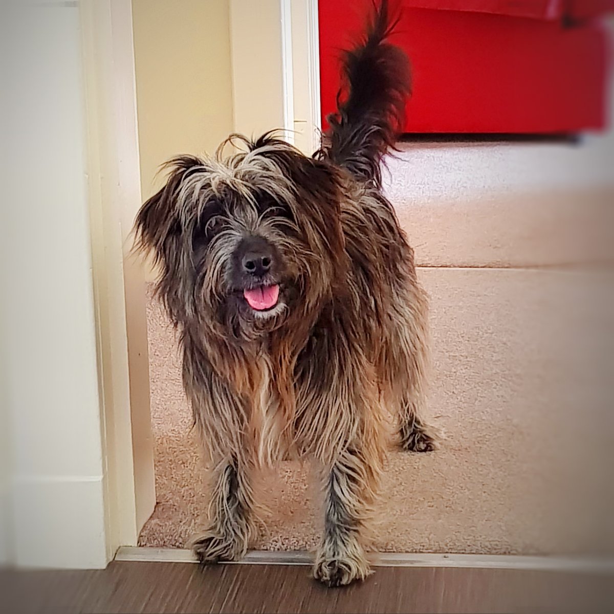 Noss Head Lighthouse Keeper's Cottage tweet media