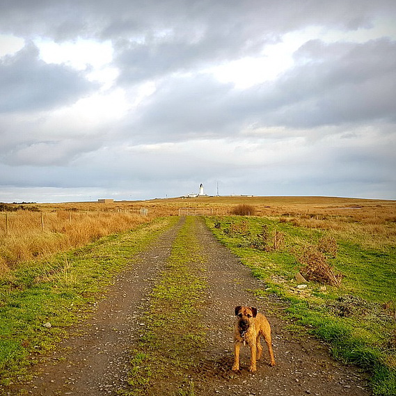 Noss Head Lighthouse Keeper's Cottage tweet media