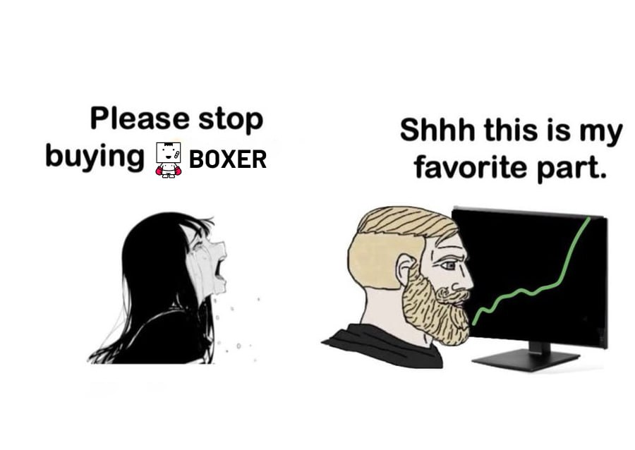 Boxer_meme's tweet photo. Here's your chance to buy in immediately, or you'll miss out on the next 100x coin. #memecoin #boxer #Crypto #basememecoins #BTC #Ethereum #NOT #PEIPEI https://t.co/x8gWKmqwUp