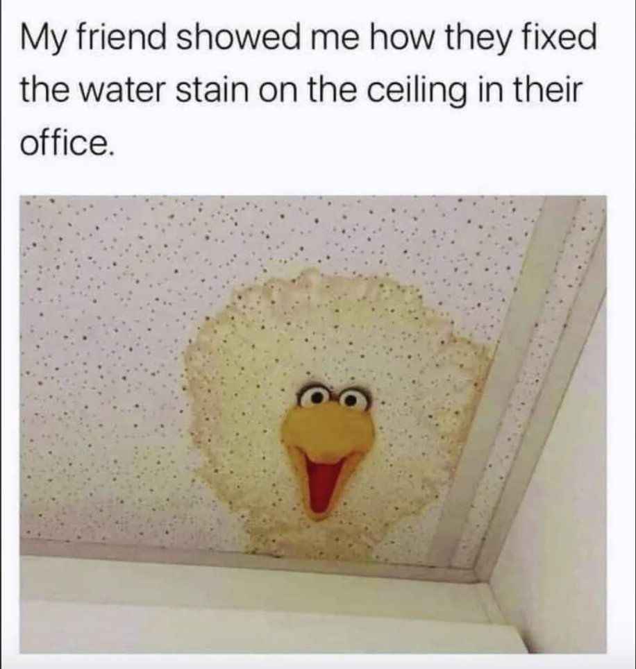 RespectfulMemes's tweet photo. https://t.co/Hoqo5dIFh5