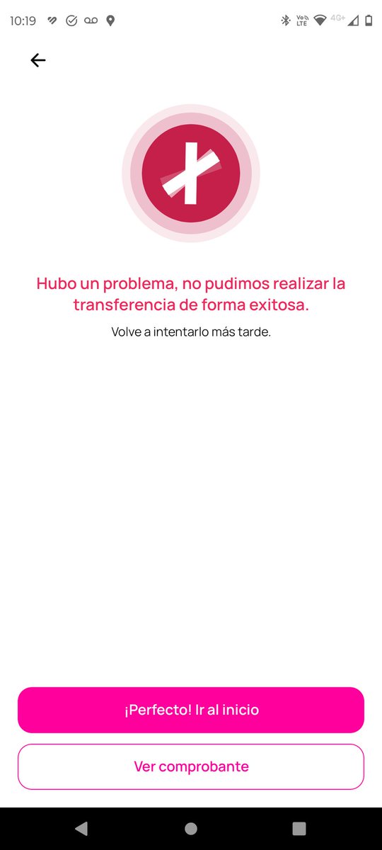 silvana bracho tweet media