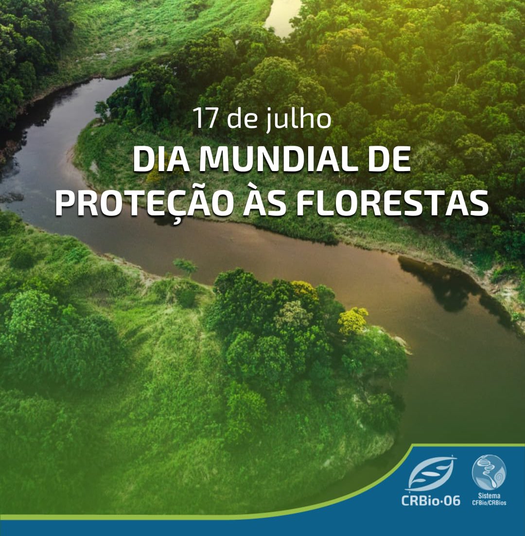 CRBio06's tweet photo. As florestas desempenham um papel crucial na manutenção da biodiversidade, na regulação do clima, na proteção dos recursos hídricos e na oferta de recursos naturais indispensáveis para a sobrevivência humana.

Veja + https://t.co/6Xa7DlByEY https://t.co/mImtiIcuuj