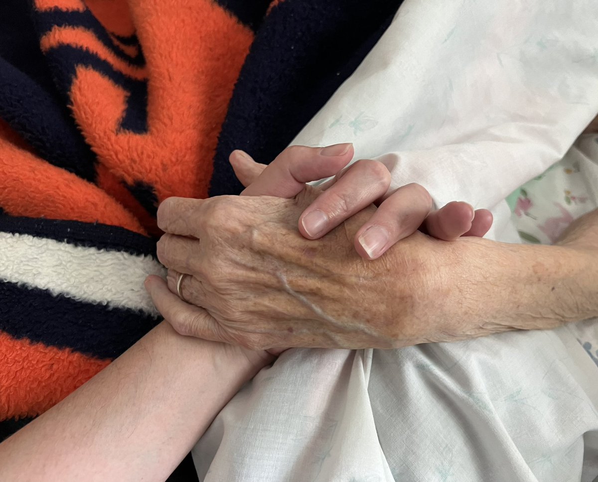 Maureen Langloss tweet media