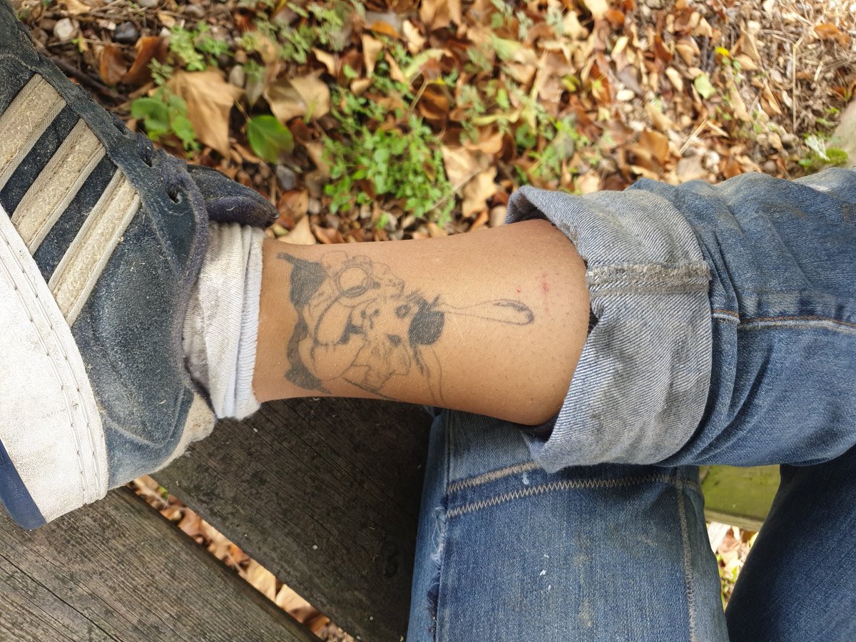 Bewildered in Wilderness 🌻 tweet media