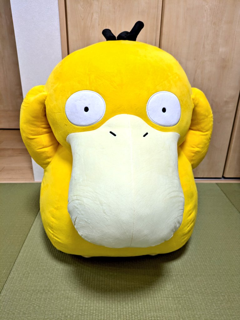 redmoon95's tweet photo. ようこそ我が家へ🥰🥰🥰🥰🥰 https://t.co/gBCehuaT5g